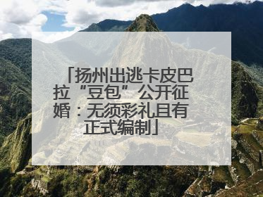 扬州出逃卡皮巴拉“豆包”公开征婚：无须彩礼且有正式编制