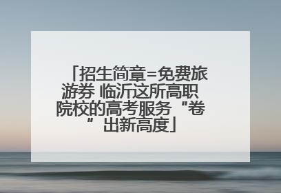 招生简章=免费旅游券 临沂这所高职院校的高考服务“卷”出新高度
