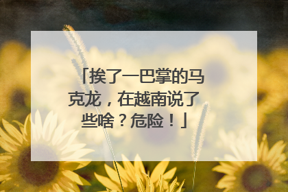 挨了一巴掌的马克龙，在越南说了些啥？危险！