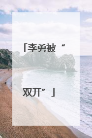 李勇被“双开”