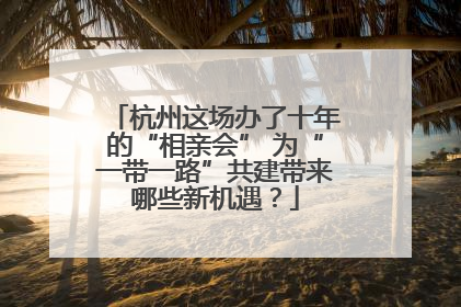 杭州这场办了十年的“相亲会” 为“一带一路”共建带来哪些新机遇？