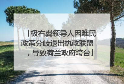 极右翼领导人因难民政策分歧退出执政联盟，导致荷兰政府垮台