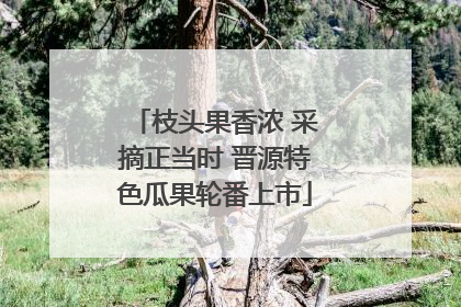 枝头果香浓 采摘正当时 晋源特色瓜果轮番上市