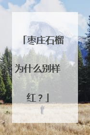 枣庄石榴为什么别样红？