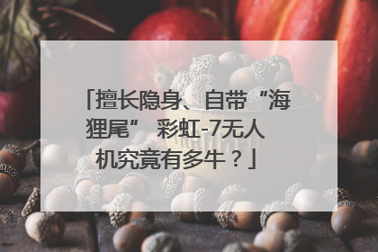 擅长隐身、自带“海狸尾” 彩虹-7无人机究竟有多牛？