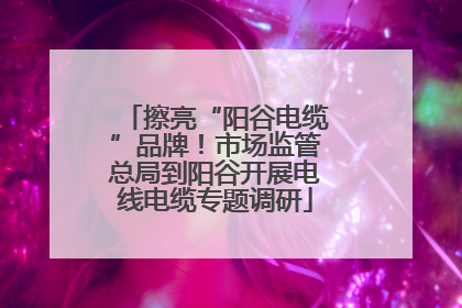 擦亮“阳谷电缆”品牌！市场监管总局到阳谷开展电线电缆专题调研