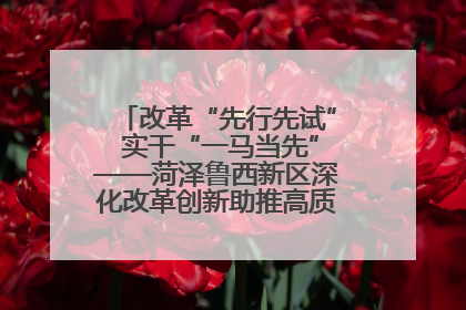 改革“先行先试” 实干“一马当先”——菏泽鲁西新区深化改革创新助推高质量发展纪实