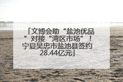 文博会助“盐池优品”对接“湾区市场”！宁夏吴忠市盐池县签约28.44亿元
