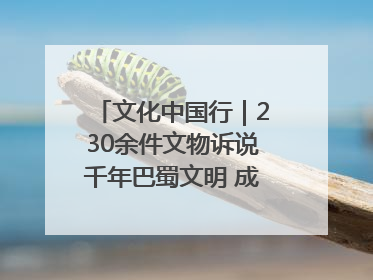文化中国行｜230余件文物诉说千年巴蜀文明 成渝地区基建考古成果展开展