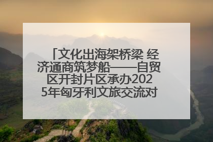 文化出海架桥梁 经济通商筑梦船——自贸区开封片区承办2025年匈牙利文旅交流对接活动专场
