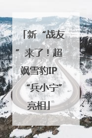 新“战友”来了！超飒雪豹IP“兵小宁”亮相