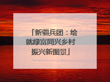 新疆兵团：绘就绿富同兴乡村振兴新图景