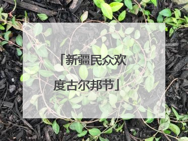 新疆民众欢度古尔邦节