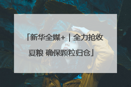 新华全媒+｜全力抢收夏粮 确保颗粒归仓