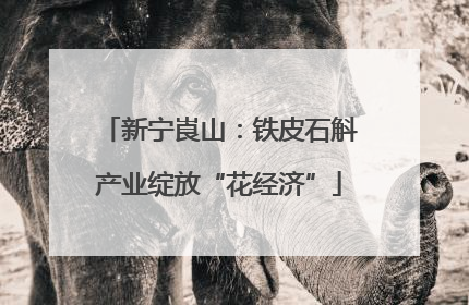 新宁崀山：铁皮石斛产业绽放“花经济”