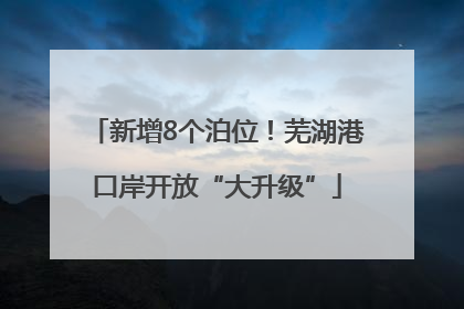新增8个泊位！芜湖港口岸开放“大升级”