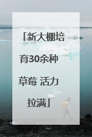 新大棚培育30余种草莓 活力拉满