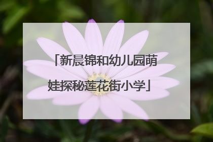 新晨锦和幼儿园萌娃探秘莲花街小学