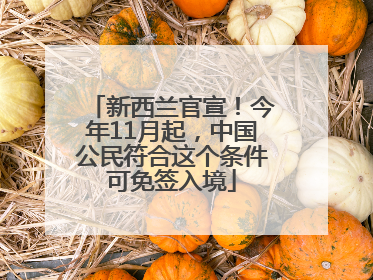 新西兰官宣！今年11月起，中国公民符合这个条件可免签入境
