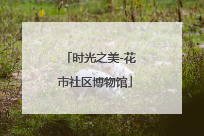 时光之美-花市社区博物馆