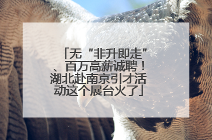 无“非升即走”、百万高薪诚聘！湖北赴南京引才活动这个展台火了