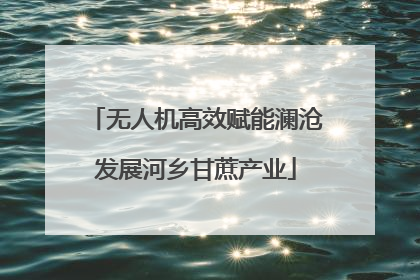 无人机高效赋能澜沧发展河乡甘蔗产业