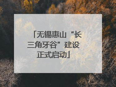 无锡惠山“长三角牙谷”建设正式启动