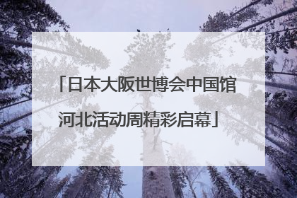 日本大阪世博会中国馆河北活动周精彩启幕