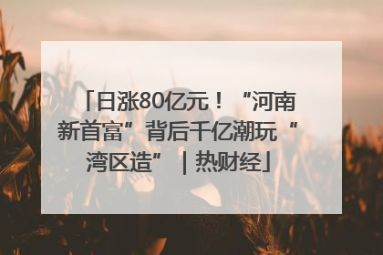 日涨80亿元！“河南新首富”背后千亿潮玩“湾区造”｜热财经