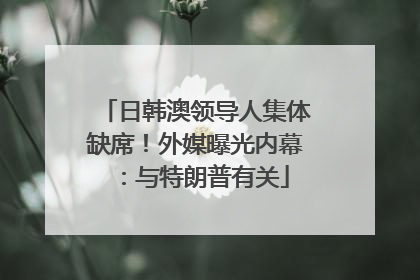 日韩澳领导人集体缺席！外媒曝光内幕：与特朗普有关