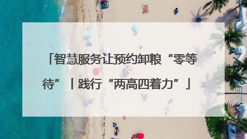 智慧服务让预约卸粮“零等待”丨践行“两高四着力”