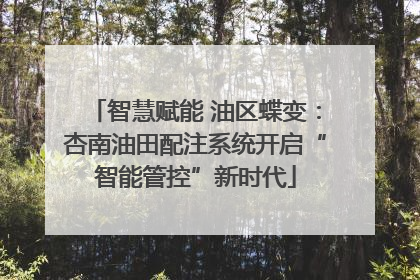 智慧赋能 油区蝶变：杏南油田配注系统开启“智能管控”新时代