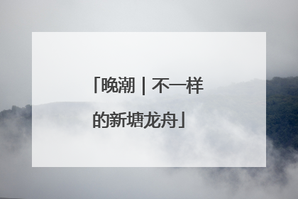 晚潮｜不一样的新塘龙舟