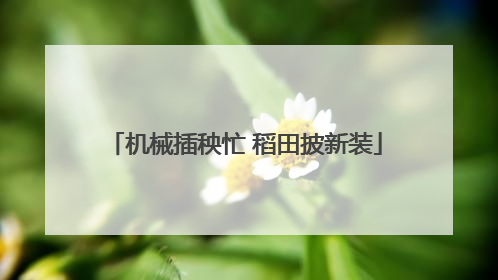 机械插秧忙 稻田披新装