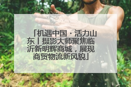 机遇中国・活力山东丨摄影大师聚焦临沂新明辉商城，展现商贸物流新风貌
