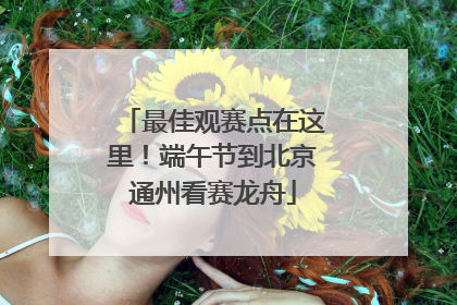 最佳观赛点在这里！端午节到北京通州看赛龙舟