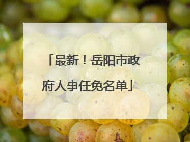 最新！岳阳市政府人事任免名单