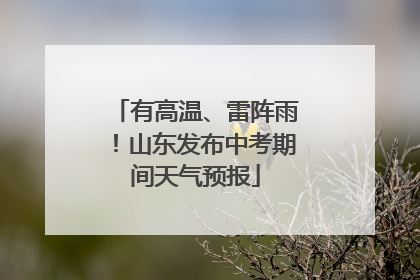 有高温、雷阵雨！山东发布中考期间天气预报