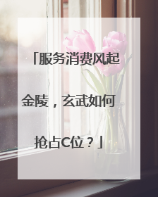 服务消费风起金陵，玄武如何抢占C位？
