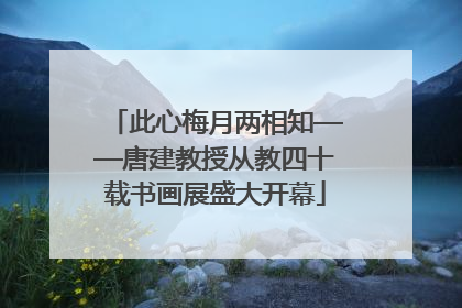 此心梅月两相知——唐建教授从教四十载书画展盛大开幕
