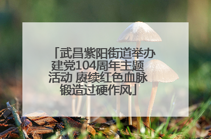 武昌紫阳街道举办建党104周年主题活动 赓续红色血脉锻造过硬作风