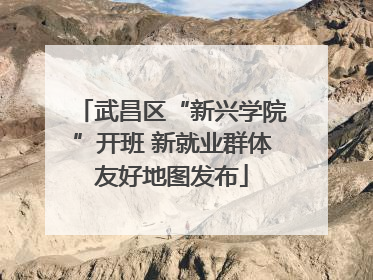 武昌区“新兴学院”开班 新就业群体友好地图发布