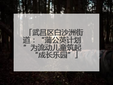 武昌区白沙洲街道：“蒲公英计划”为流动儿童筑起“成长乐园”
