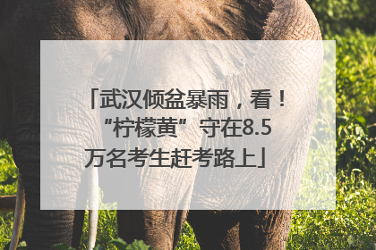 武汉倾盆暴雨，看！“柠檬黄”守在8.5万名考生赶考路上