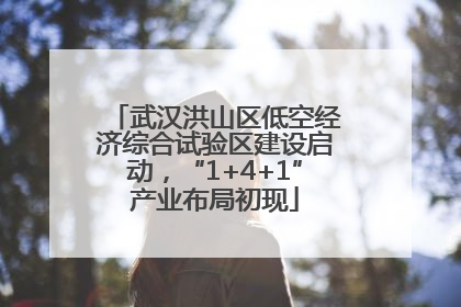 武汉洪山区低空经济综合试验区建设启动，“1+4+1”产业布局初现