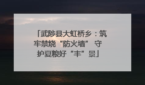 武陟县大虹桥乡：筑牢禁烧“防火墙” 守护夏粮好“丰”景