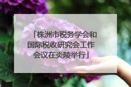 株洲市税务学会和国际税收研究会工作会议在炎陵举行