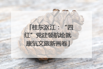 桂东沤江：“四红”党建领航绘就康氧文旅新画卷