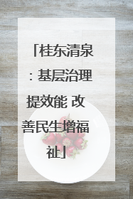 桂东清泉：基层治理提效能 改善民生增福祉
