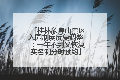 桂林象鼻山景区入园制度反复调整：一年不到又恢复实名制分时预约